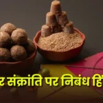 Makar Sankranti Essay In Hindi